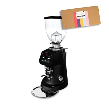 MŁYNEK DO KAWY FIORENZATO F64 EVO PRO CZARNY